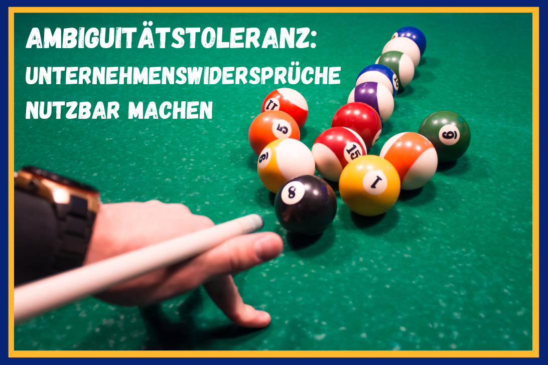 Unternehmenswidersprüche nutzbar machen