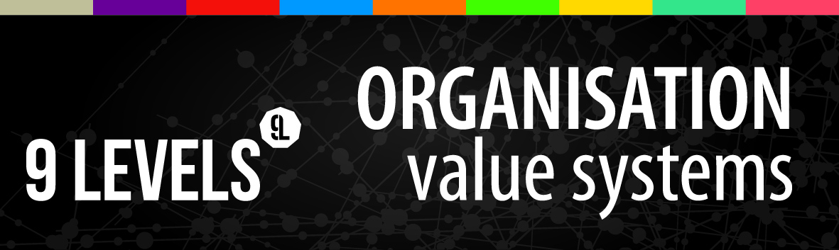 9 Levels Organisation Value System